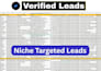 do targeted b2b lead generation and email list building